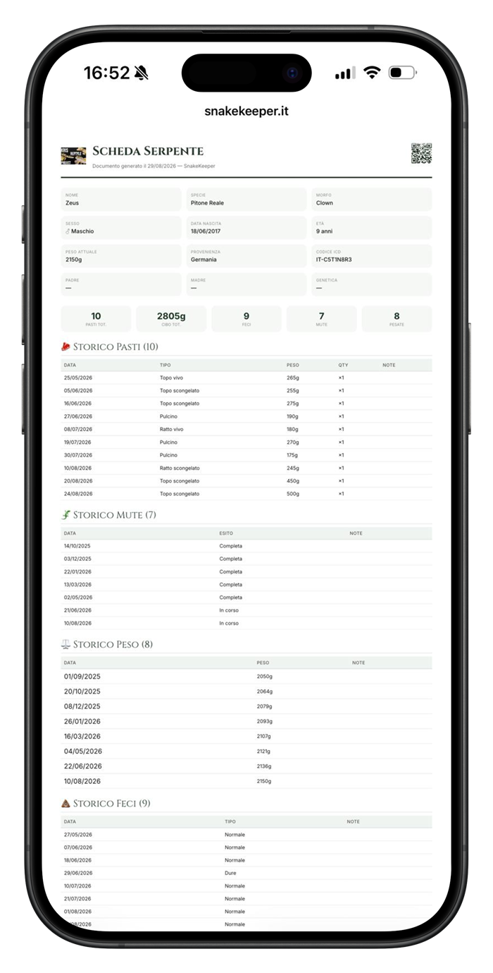 Schermata export PDF